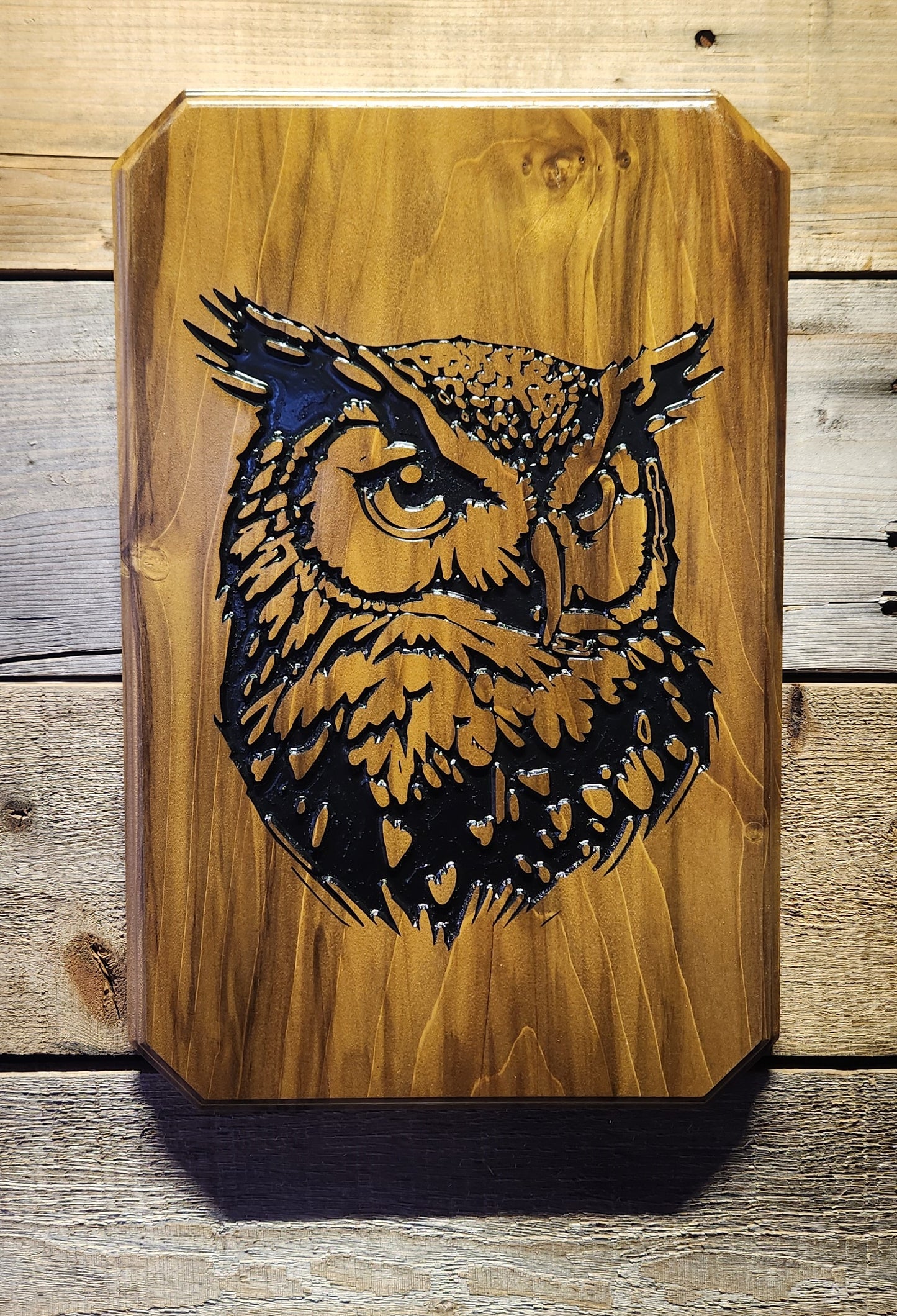 Rustic Carved Owl Plaque Sign on Poplar Hardwood