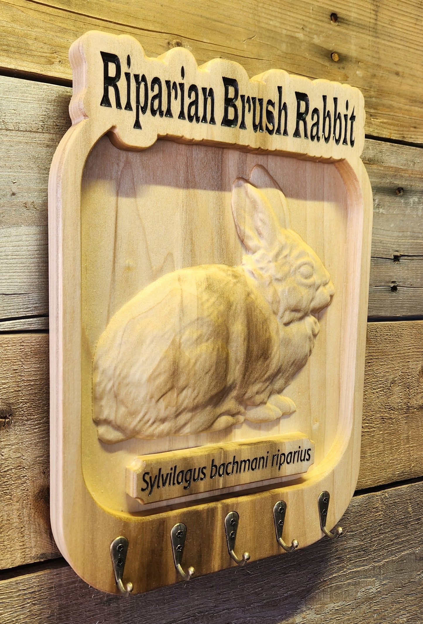 Riparian Brush Rabbit Key Hanger on Poplar