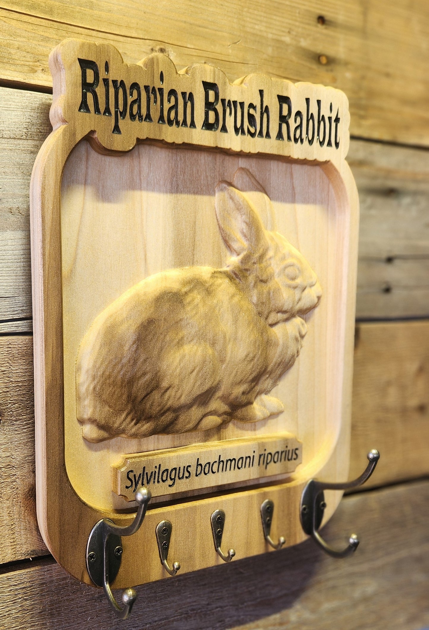 Riparian Brush Rabbit Key and Coat Hanger on Poplar