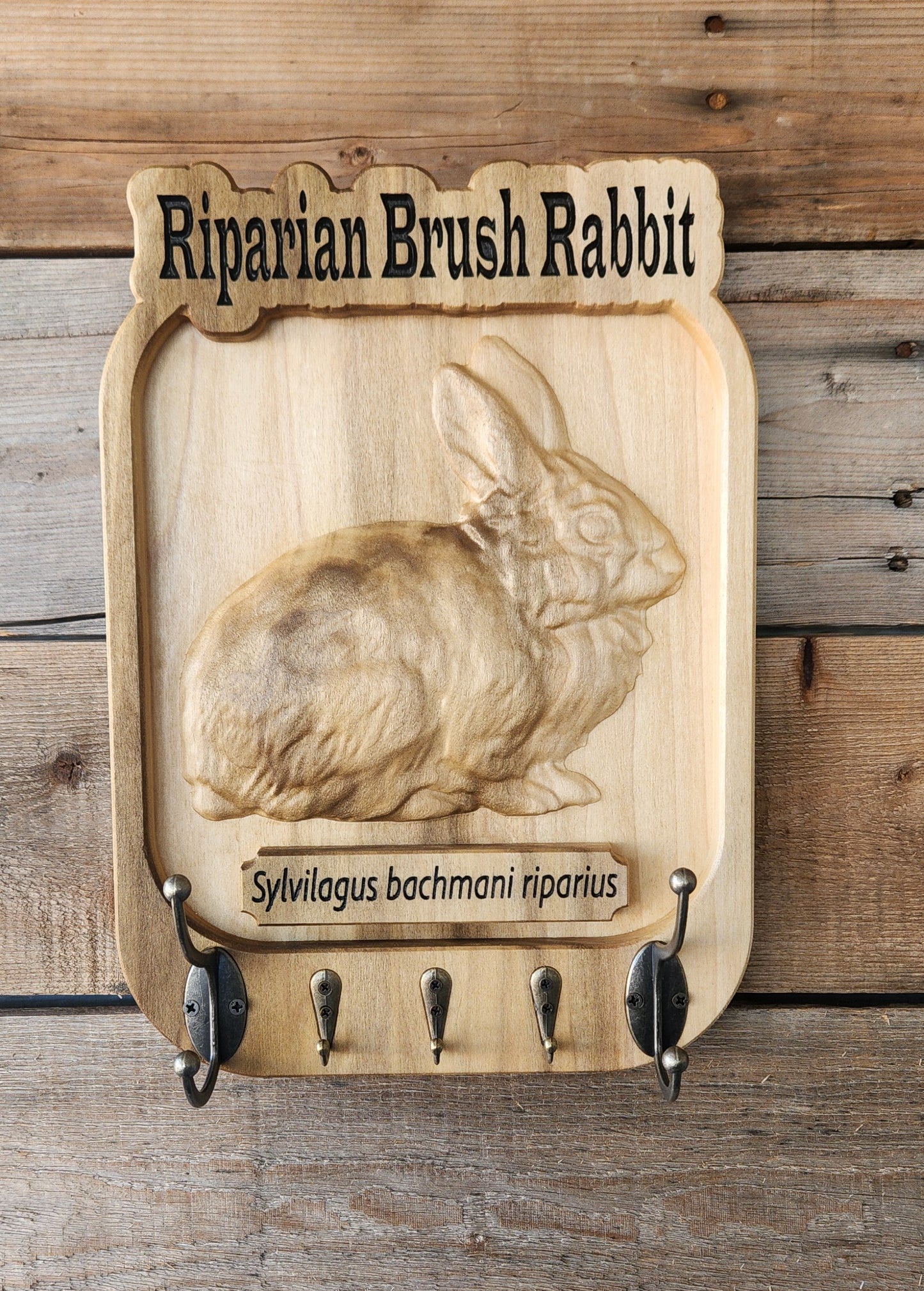 Riparian Brush Rabbit Key and Coat Hanger on Poplar