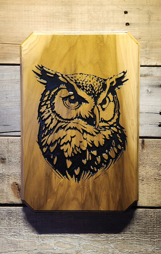 Rustic Carved Owl Plaque Sign on Poplar Hardwood