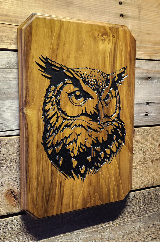 Rustic Carved Owl Plaque Sign on Poplar Hardwood